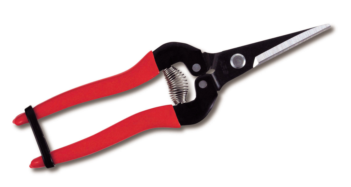 ARS 300L Pointed Fruit Pruners